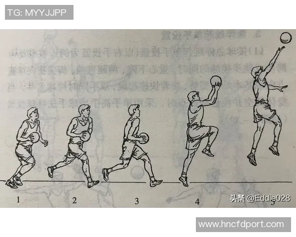 从零基础到篮球高手的全面技术提升指南与实战技巧分享