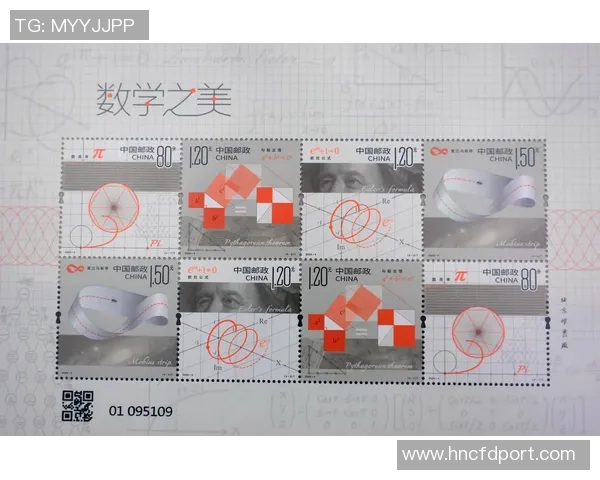 与周秀英畅谈她的足球生涯与心路历程的精彩对话